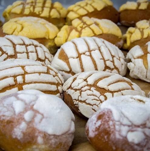 Vanilla, chocolate, and pink conchas with shell-patterned topping.